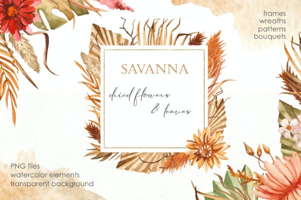 稀树草原干花&叶子水彩剪贴画素材 Watercolor Savanna dried flowers and leaves