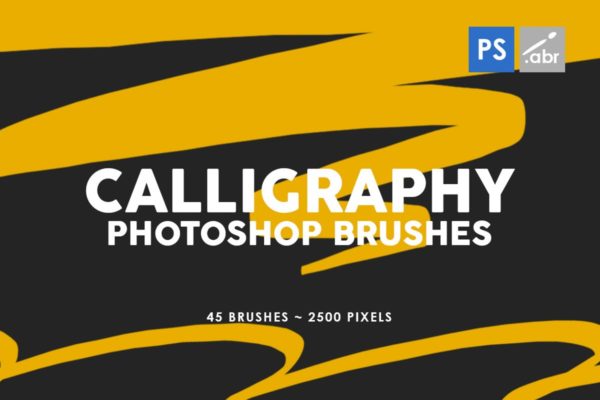 45款流畅线条书法画笔纹理笔刷Photoshop素材 45 Calligraphy Photoshop Stamp Brushes