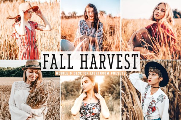 秋季金黄人物肖像摄影后期处理LR预设 Fall Harvest Mobile & Desktop Lightroom Presets