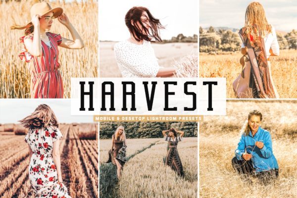 色彩增强自然色调照片后期处理滤镜Lightroom预设 Harvest Mobile & Desktop Lightroom Presets