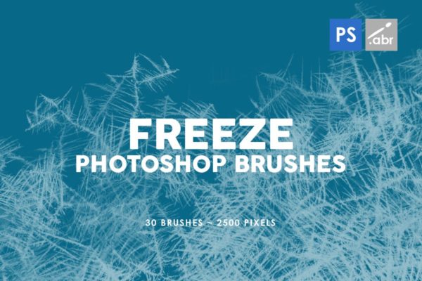 30个冻结雪花冰晶Photoshop盖章笔刷 30 Freeze Photoshop Stamp Brushes