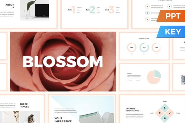 少女淡粉背景演示PPT模板下载 Blossom Presentation Template
