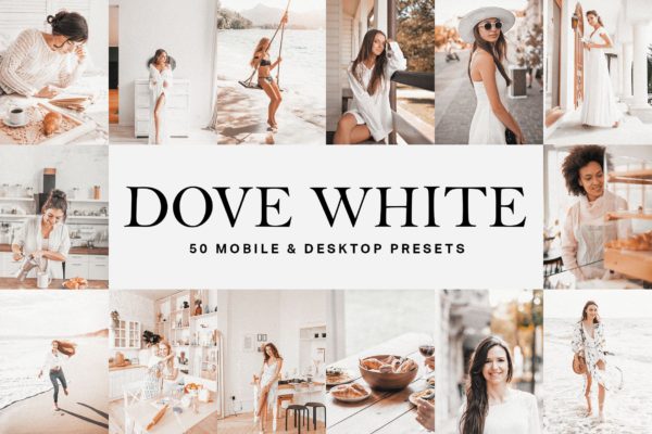 50个清新唯美白色调照片滤镜Lightroom预设&LUT 50 Dove White Lightroom Presets and LUTs