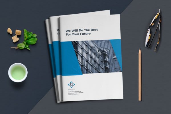 现代专业的企业业务宣传册模板 Business Brochure Template