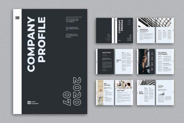 多用途多行业适用企业画册模板素材 Company Profile