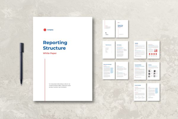 建筑报告白皮书杂志版式设计模板 White Paper Structure Report