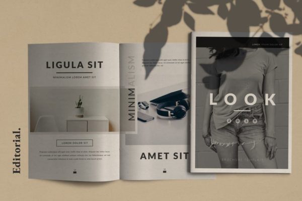 极简主义设计风格企业业务手册Lookbook设计模板 Lookbook