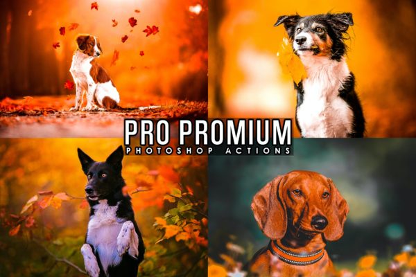 HDR效果动物照片PS动作滤镜 HDR Animal Photoshop Actions