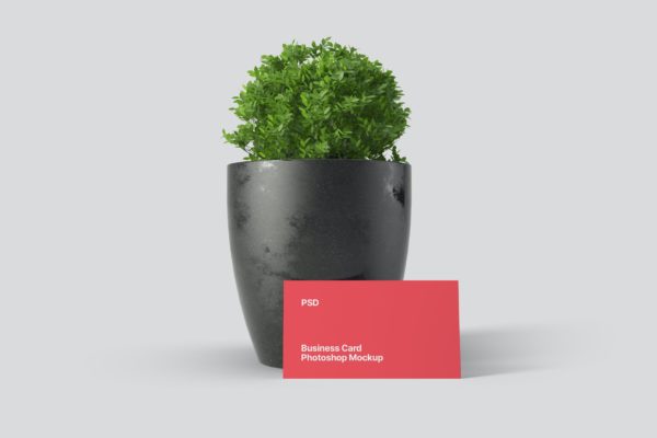 植物盆栽背景名片设计样机模板 Business Card Mockup