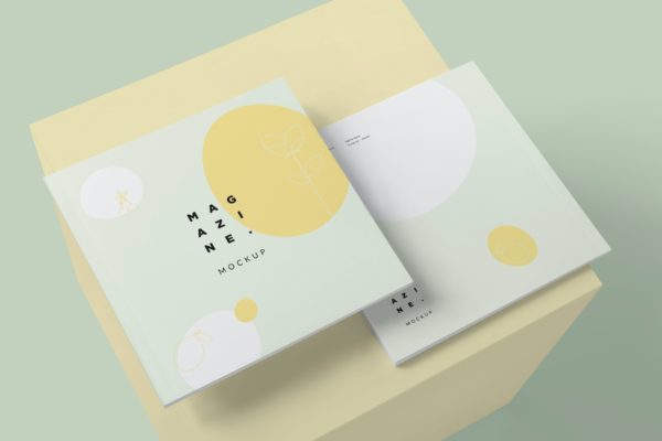杂志效果图展示设计样机图素材 Open Magazine Mockups