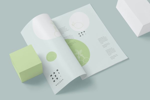 杂志效果图版式设计样机图素材 Magazine Spread Mockups