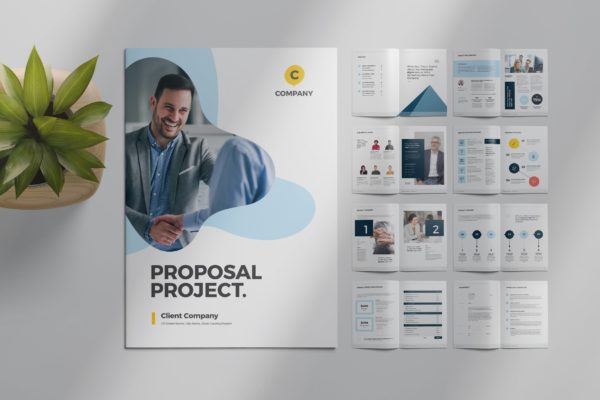 专业咨询公司项目规划书/项目建议书设计模板 InDesign Proposal Template