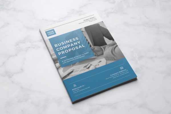 金融行业项目调研方案/提案版式设计模板 Business Proposal
