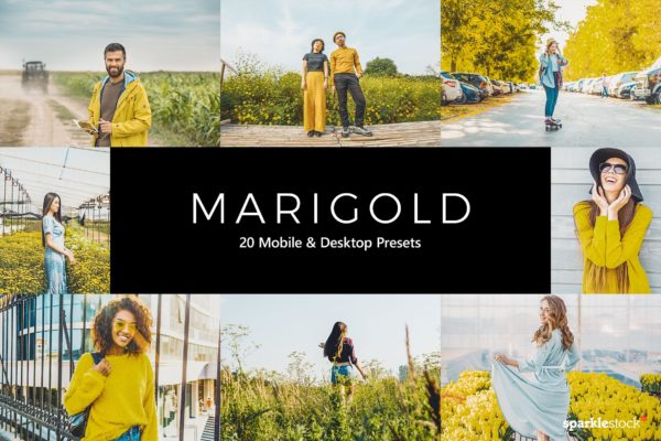 20款活力黄色调LR预设+LUT预设 20 Marigold Lightroom Presets & LUTs