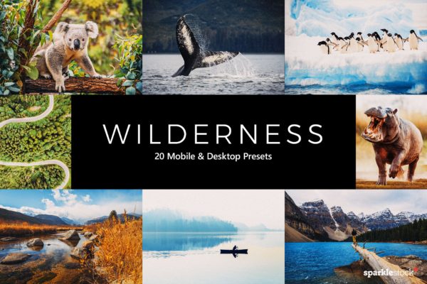 20款美丽色调颗粒感LR预设+LUT预设 20 Wilderness Lightroom Presets & LUTs