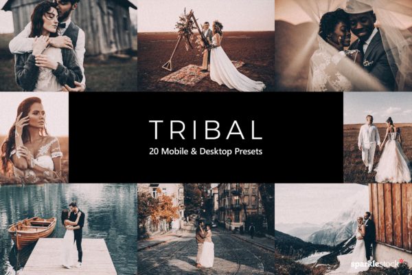 20款复古电影磨砂滤镜LR预设+LUT预设 20 Tribal Lightroom Presets & LUTs