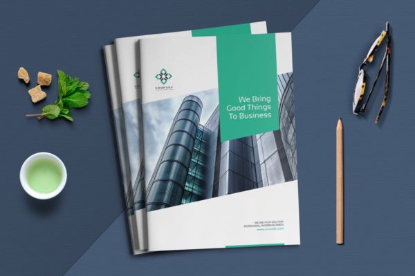 高端企业宣传画册设计INDD模板素材 Business Brochure Template