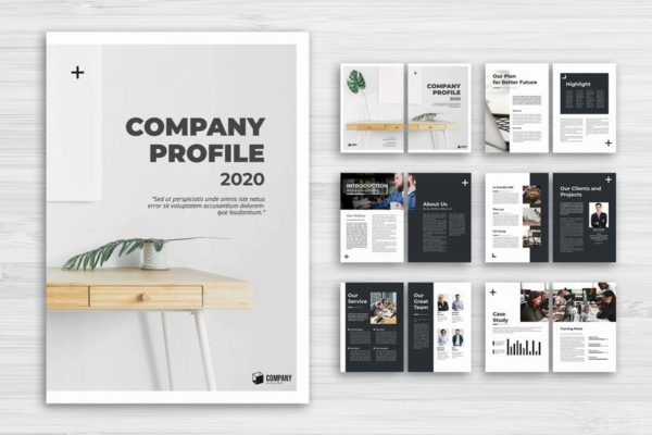 高级商务领域企业画册设计模板 Corporate Company Profile