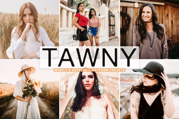 黄褐色专业色调LR照片调色预设 Tawny Mobile & Desktop Lightroom Presets