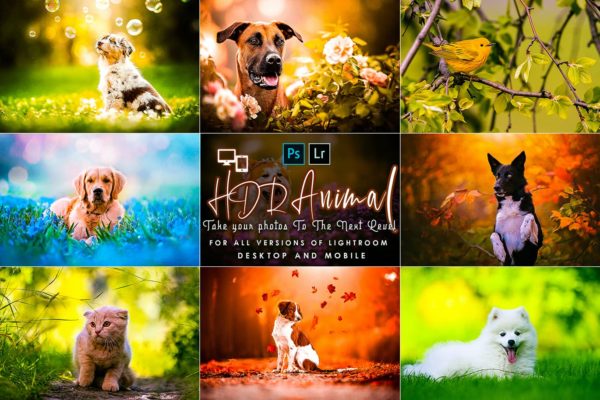 专业HDR效果后期调色Lightroom预设 PRO HDR Animal Lightroom Presets