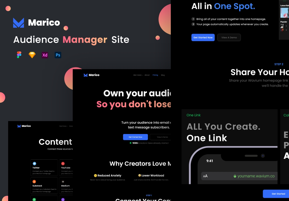 Marico – Audience Manager Site