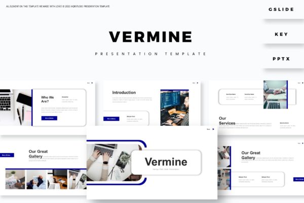 公司策略分析PPT/Keynote/谷歌幻灯片三合一模板 Vermine – Presentation Template