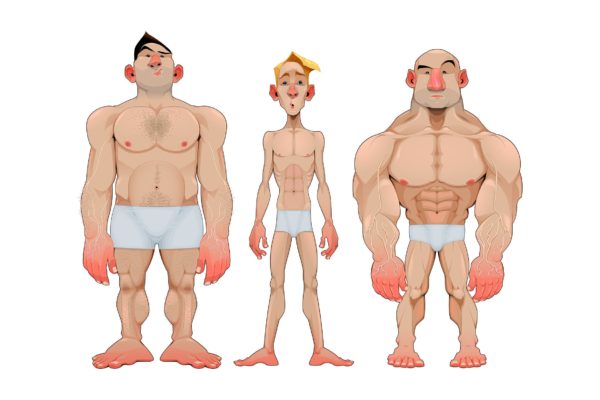 三种类型男性人体漫画矢量图素材 Three Types of Caricatural Male Anatomies