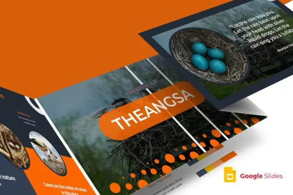 鸟类调查报告Google幻灯片模板 The Angsa – Google Slides Template