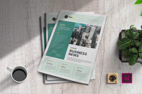 商业资讯杂志版式设计InDesign模板 InDesign Newsletter Template