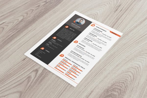 前端开发设计师简历版式设计模板 Resume Template