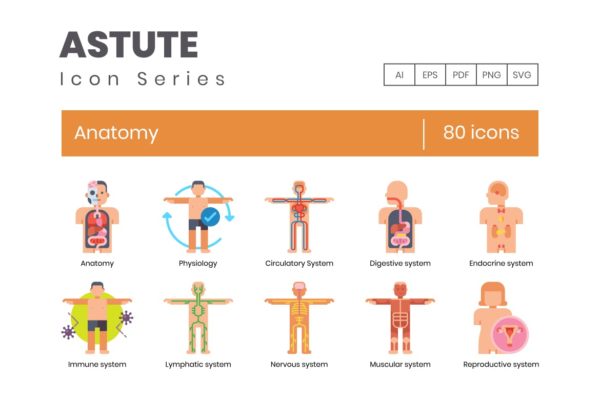 80个解剖学主题扁平化图标集 80 Anatomy Flat Icons