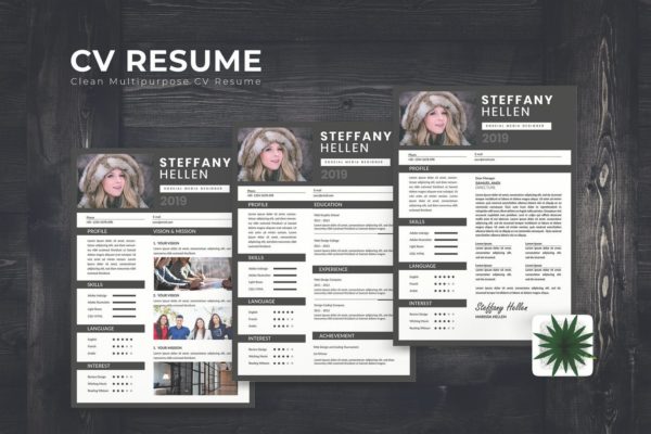 三合一高管职位应聘求职简历设计模板 Executive CV Resume