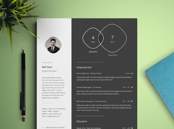 信息图表结构个人简历模板组合 Infographic Resume Template