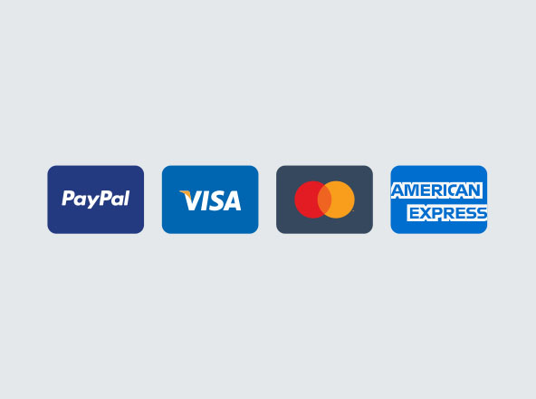 极简主义设计风格支付方式矢量图标 Essential Minimal Payment Icons