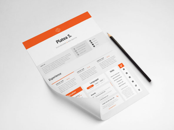 A4 /美国信件尺寸线框组件求职信简历模板 A4 / US Letter Resume Template
