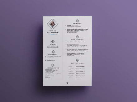 竖版双栏布局设计个人求职简历模板 Neat Resume Template