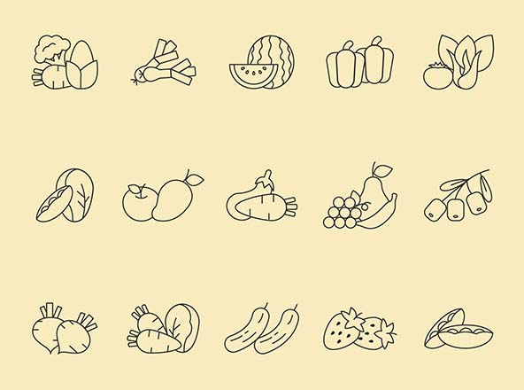 各种常见蔬菜矢量线性图标 Vegetable Vector Icons