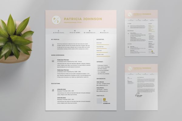 粉色标题网页设计师/网站开发简历设计模板 Resume Layout Set with Pink Header