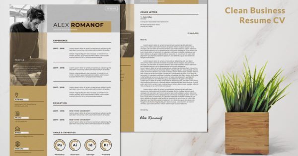 极简主义设计风格高级程序员应聘简历模板下载 Professional Resume CV Clean & Minimal Design