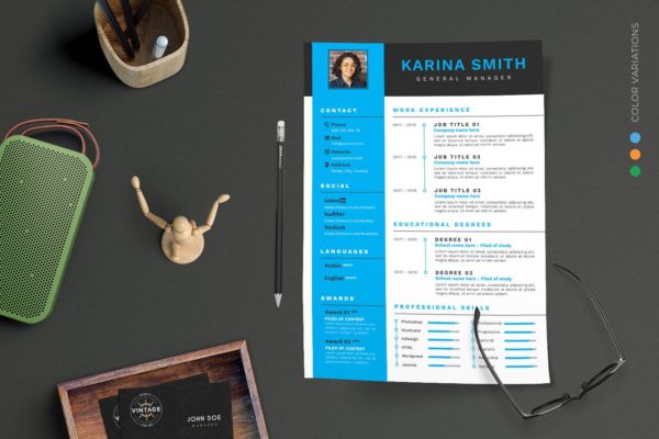 总经理职位应聘简历模板素材 CV Resume