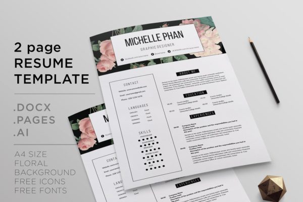现代简洁职场个人简历模板 2 page resume template