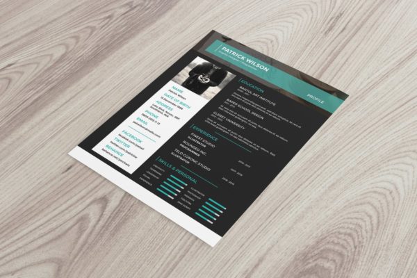 网站开发程序员简历设计模板 Resume Template