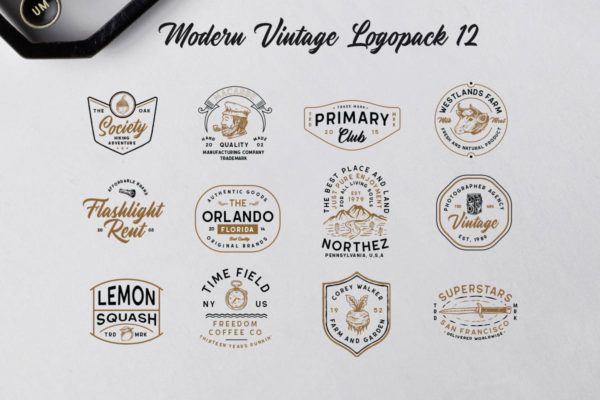 12个现代复古手绘Logo设计模板 Modern Vintage Logopack 12