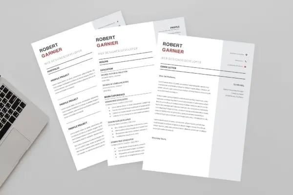 极简设计风格网站设计开发职位应聘简历设计模板 Robert Developer Resume Designer