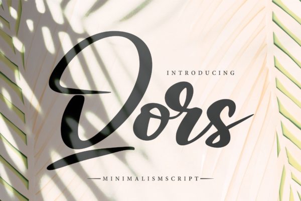 极简主义排版设计风格英文书法字体 Qors | Minimalism Script Font