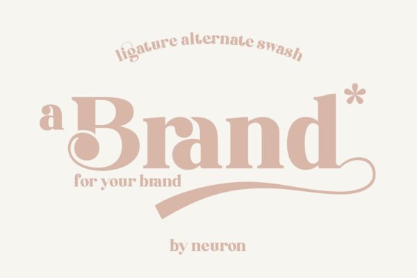 浪漫趣味卡片名片衬线字体设计 Brand Display Font