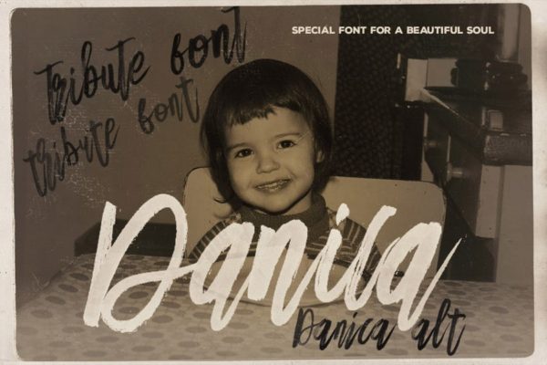独特手写草书＆SVG字体脚本素材集 Danica Tribute Brush & SVG Font