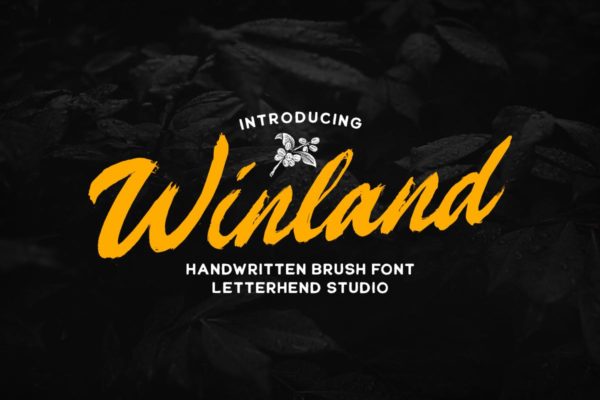 自然毛笔手写效果英文字体 Winland – Brush Font