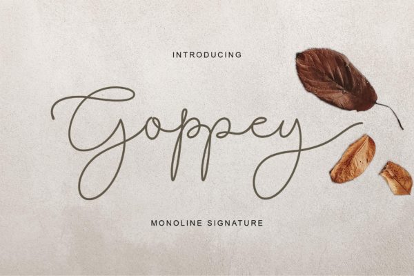 柔软自然的单线英文签名字体 Goppey