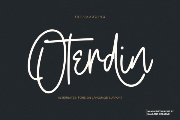 钢笔签名风格英文手写字体 Oterdin – Handwritten Font